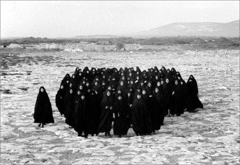 Cover of Shirin Neshat