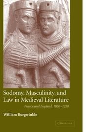 Sodomy, Masculinity and Law in Medieval Literature