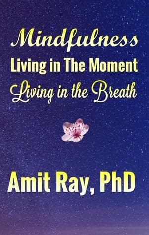 Cover of Mindfulness