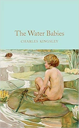 Cover of The water-babies